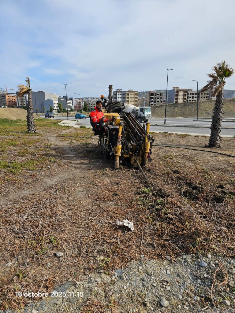 foragehorizontaledirige